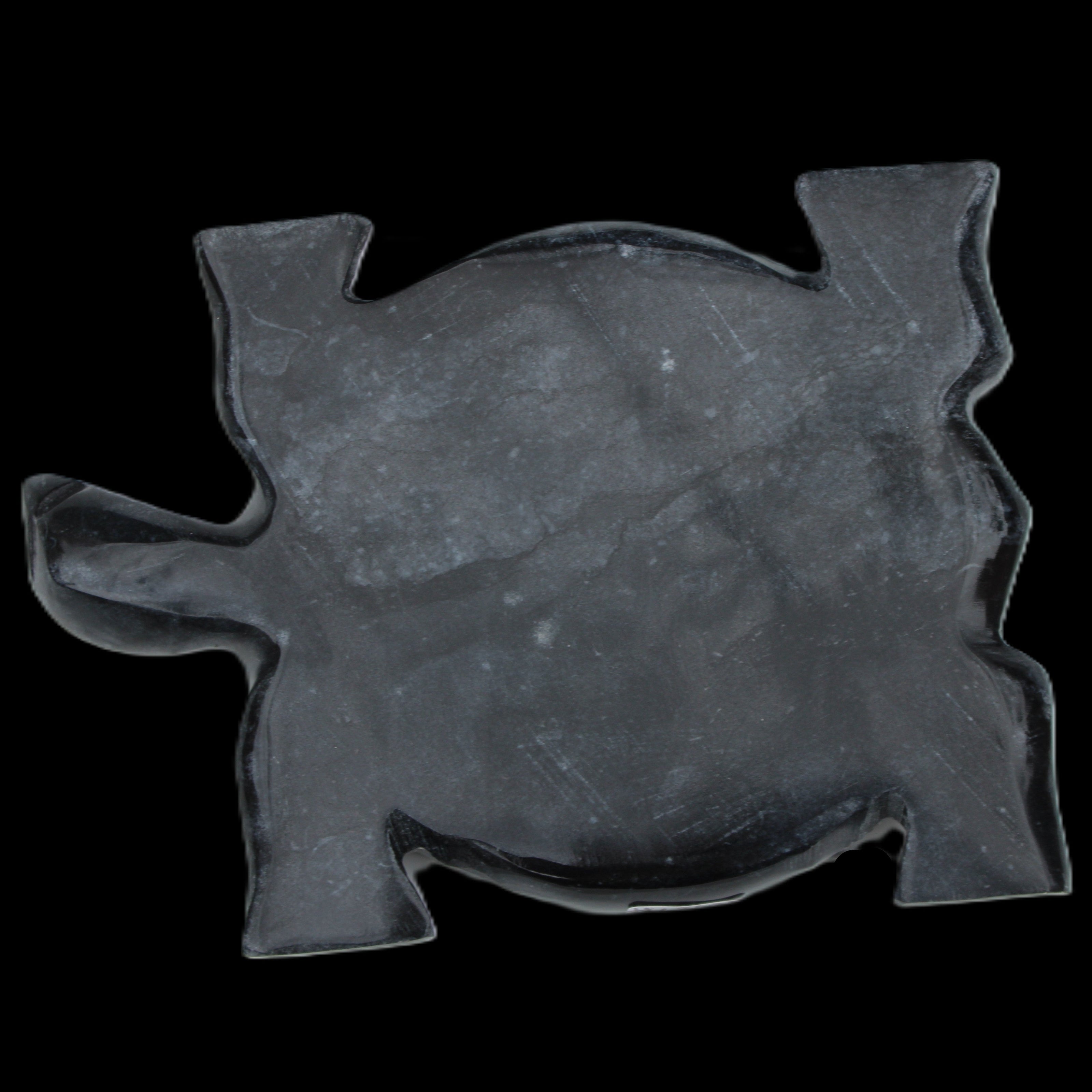 Black Jade hand-carved Turtle platter 155**113*20mm 472g in sunlight - Rocks and Things Store