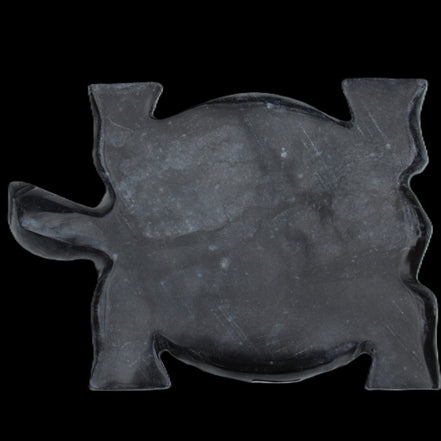 Black Jade hand-carved Turtle platter 155**113*20mm 472g in sunlight - Rocks and Things Store
