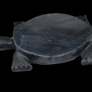 Black Jade hand-carved Turtle platter 155**113*20mm 472g in sunlight - Rocks and Things Store