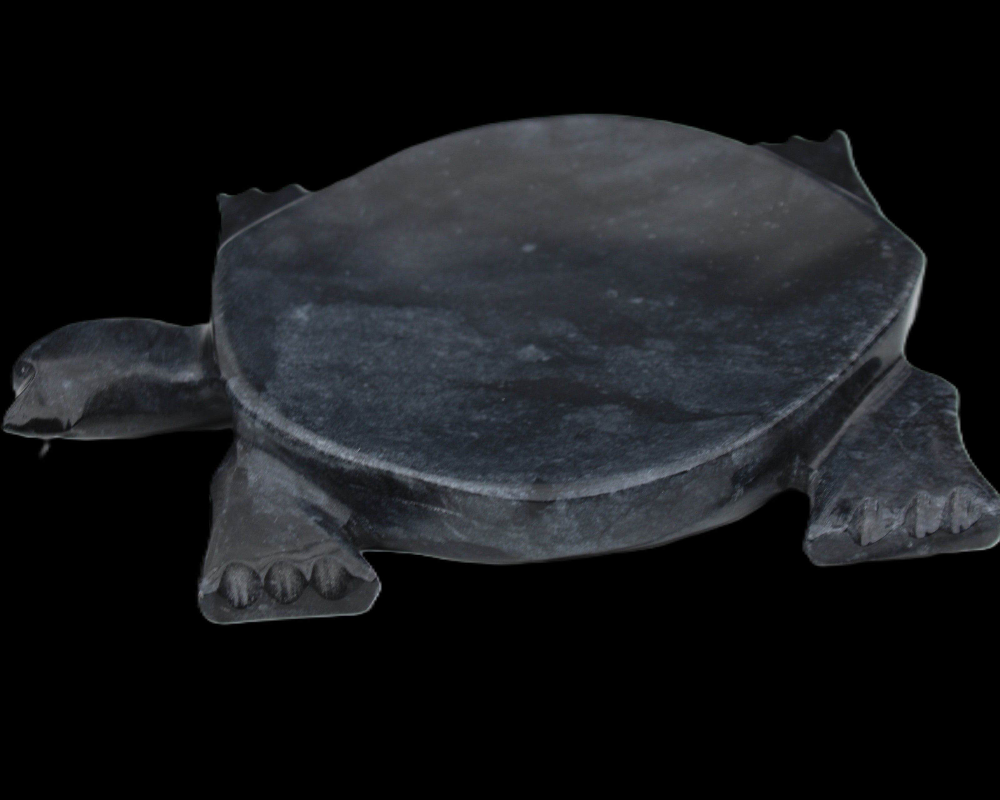 Black Jade hand-carved Turtle platter 155**113*20mm 472g in sunlight - Rocks and Things Store