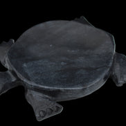 Black Jade hand-carved Turtle platter 155**113*20mm 472g in sunlight - Rocks and Things Store