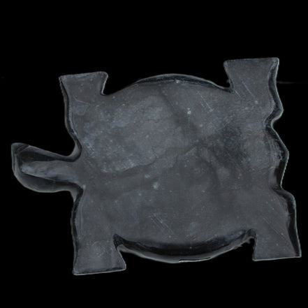 Black Jade hand-carved Turtle platter 155**113*20mm 472g in sunlight - Rocks and Things Store