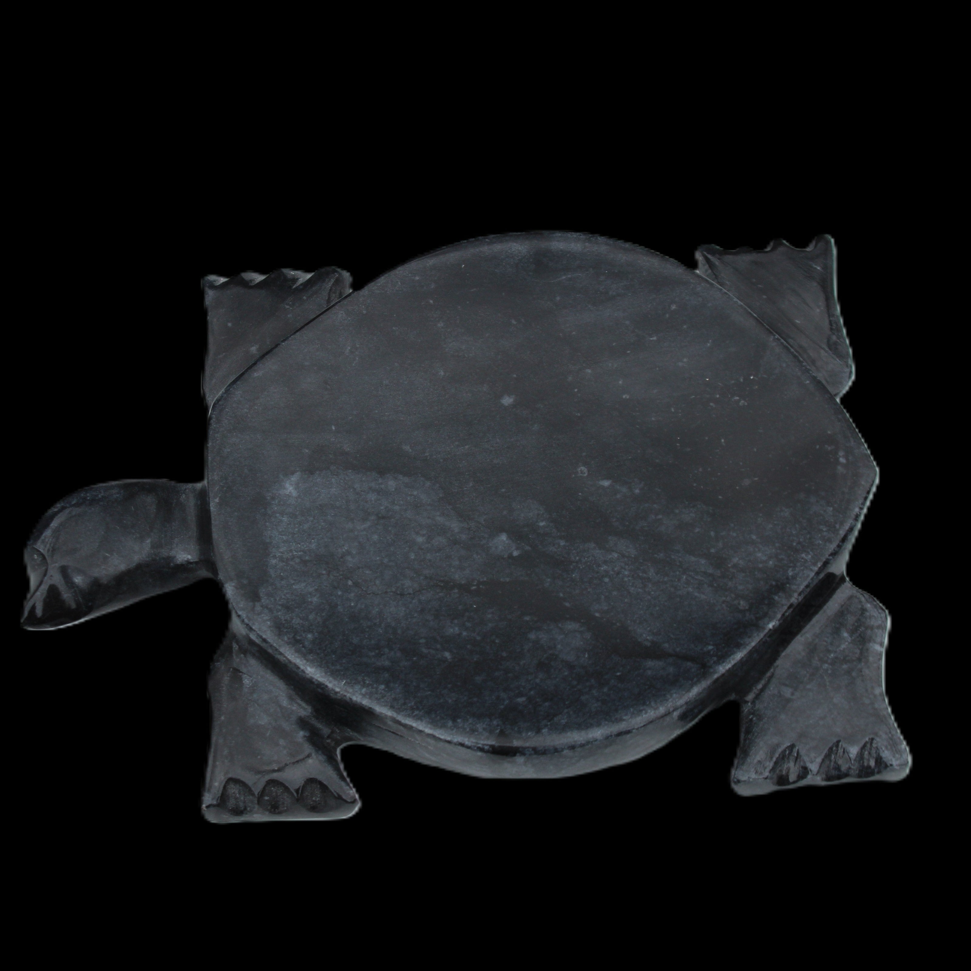 Black Jade hand-carved Turtle platter 155**113*20mm 472g in sunlight - Rocks and Things Store