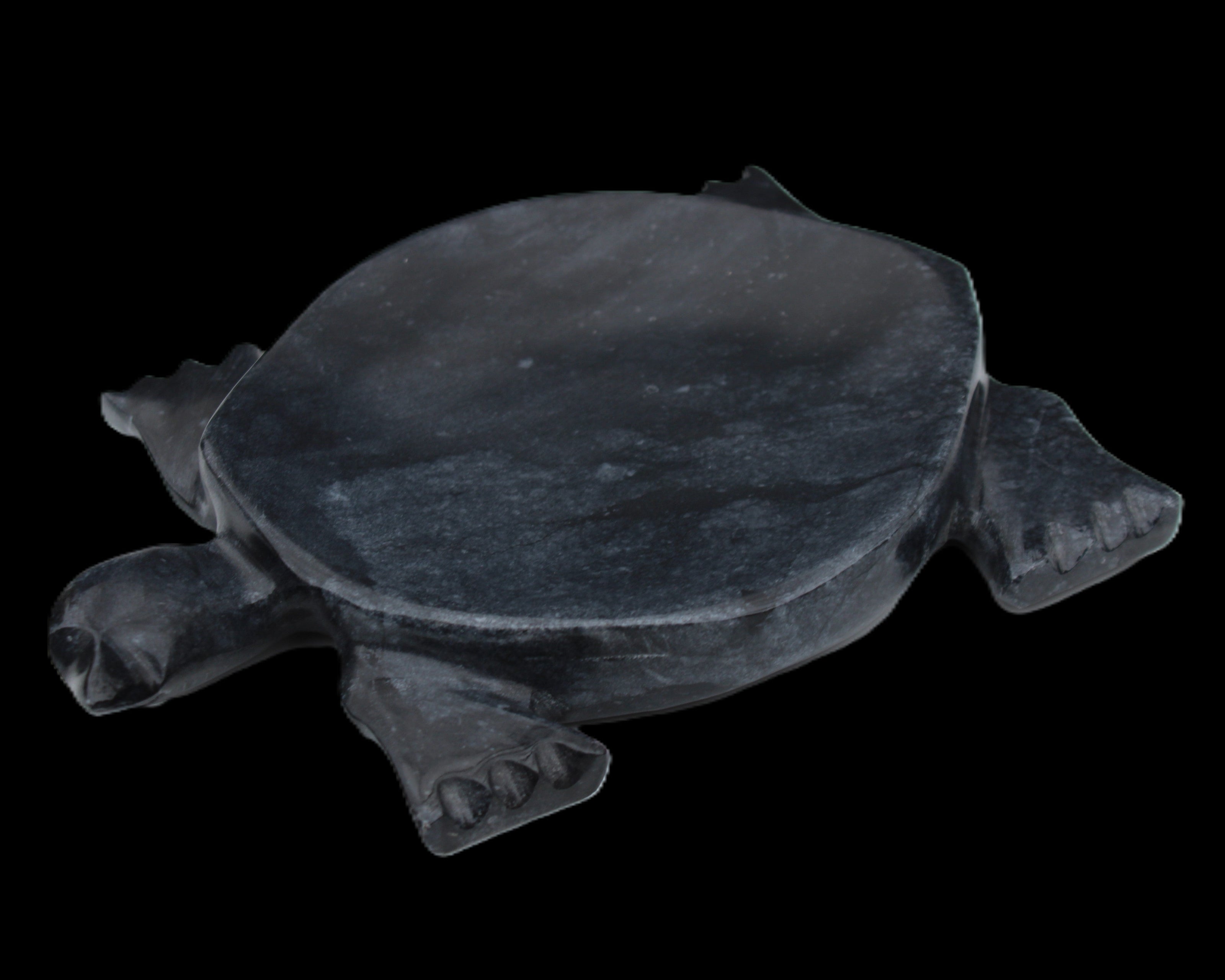 Black Jade hand-carved Turtle platter 155**113*20mm 472g in sunlight - Rocks and Things Store