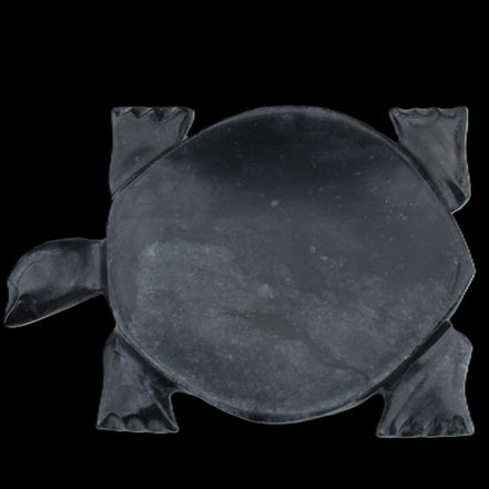 Black Jade hand-carved Turtle platter 155**113*20mm 472g in sunlight - Rocks and Things Store