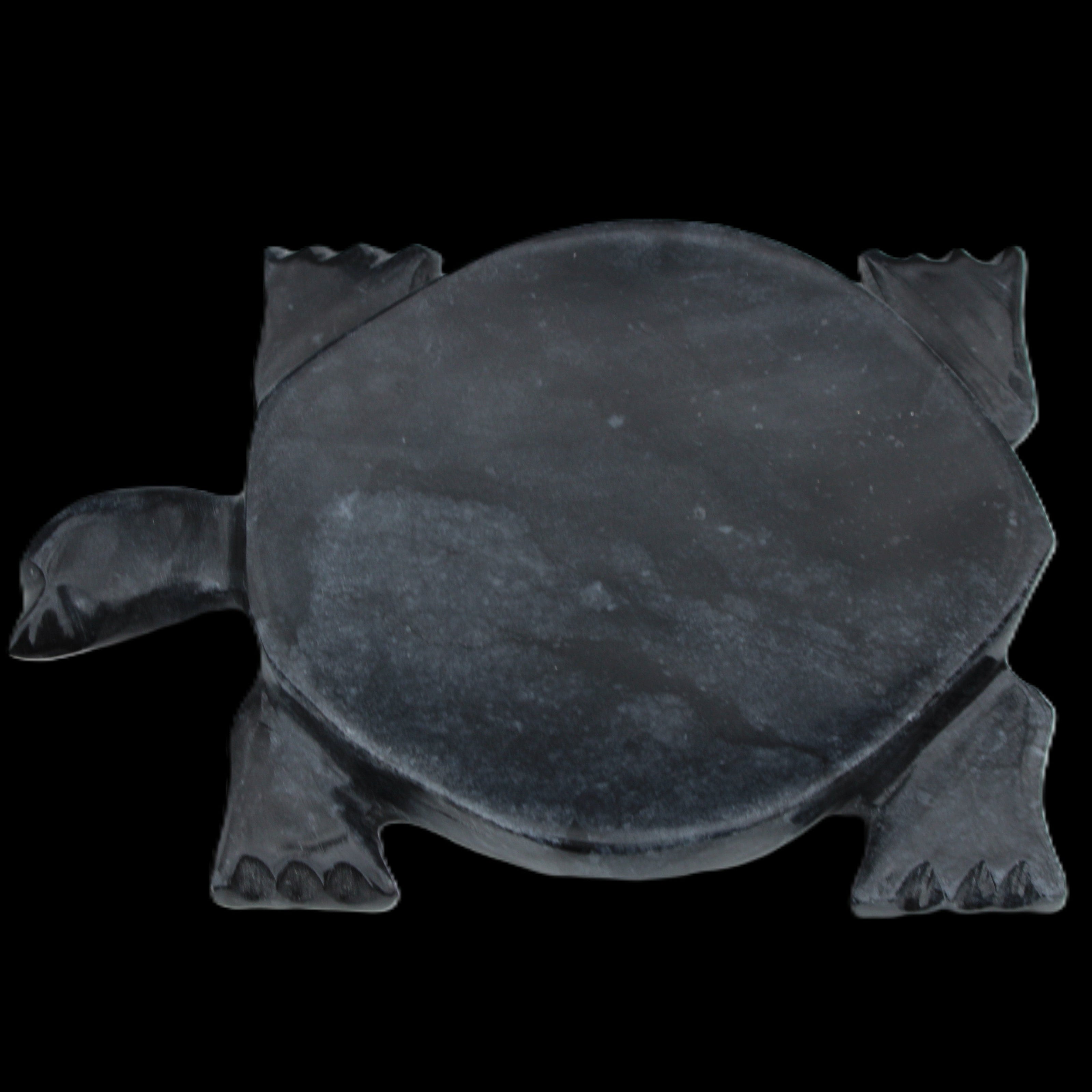 Black Jade hand-carved Turtle platter 155**113*20mm 472g in sunlight - Rocks and Things Store