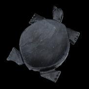 Black Jade hand-carved Turtle platter 155**113*20mm 472g in sunlight - Rocks and Things Store