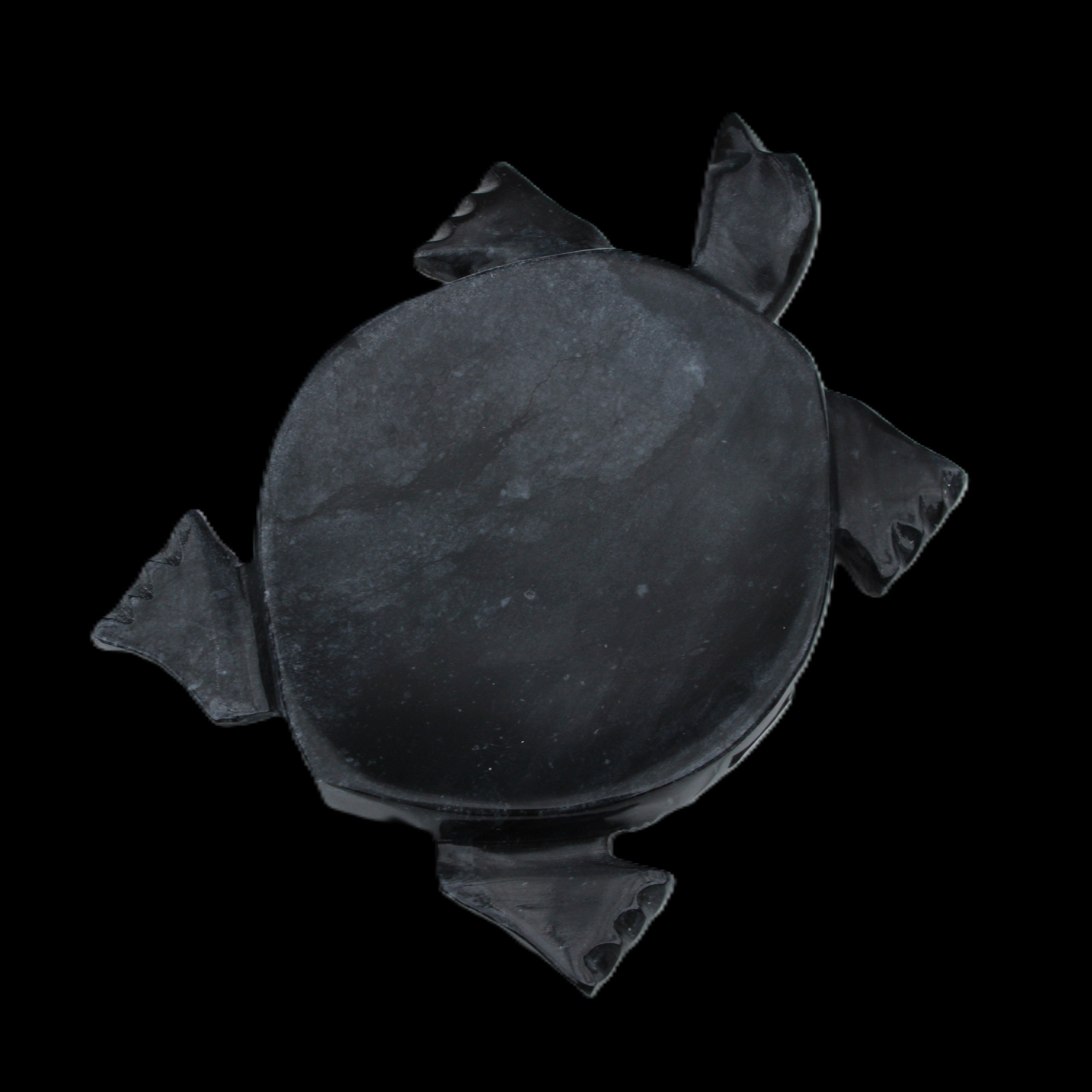 Black Jade hand-carved Turtle platter 155**113*20mm 472g in sunlight - Rocks and Things Store