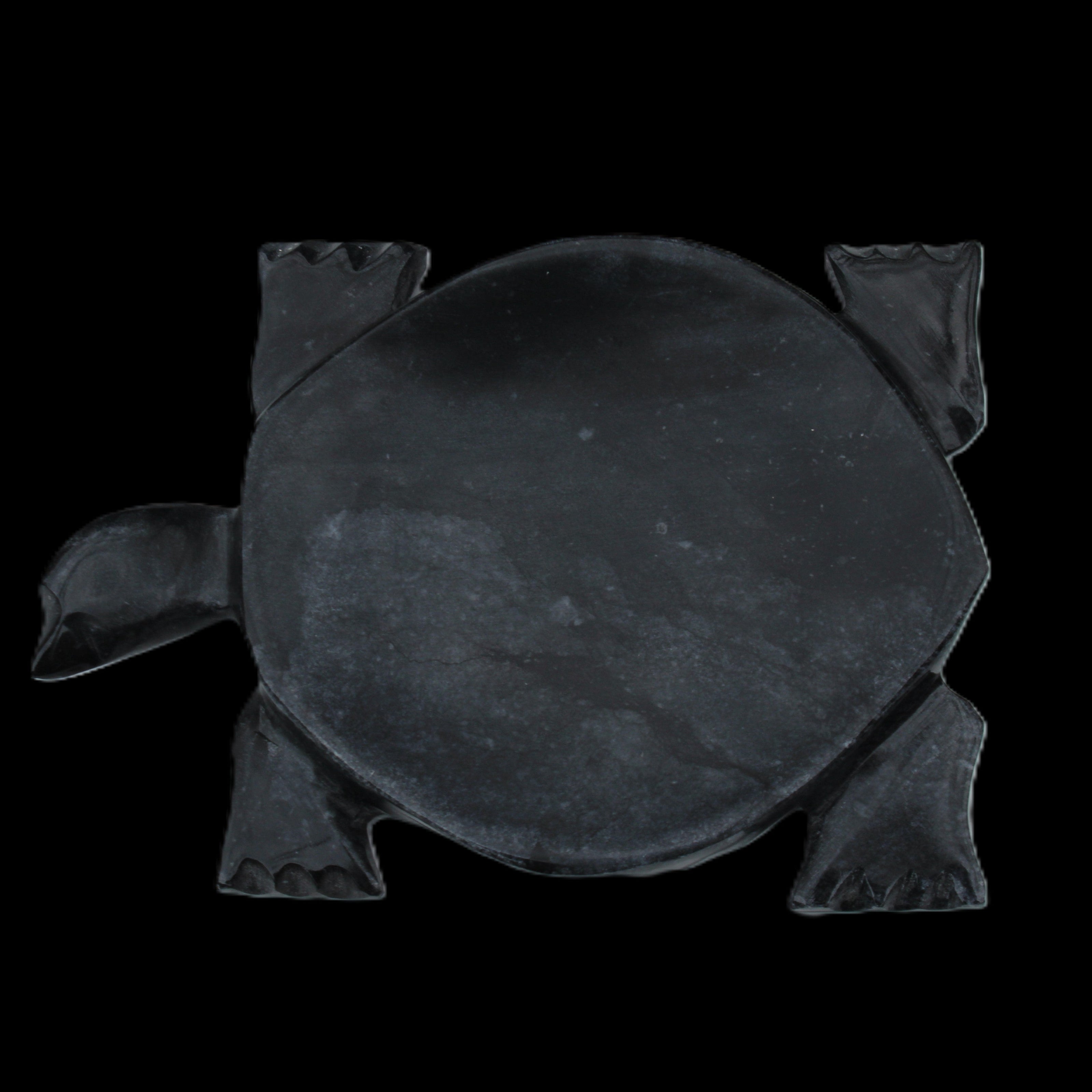 Black Jade hand-carved Turtle platter 155**113*20mm 472g in sunlight - Rocks and Things Store