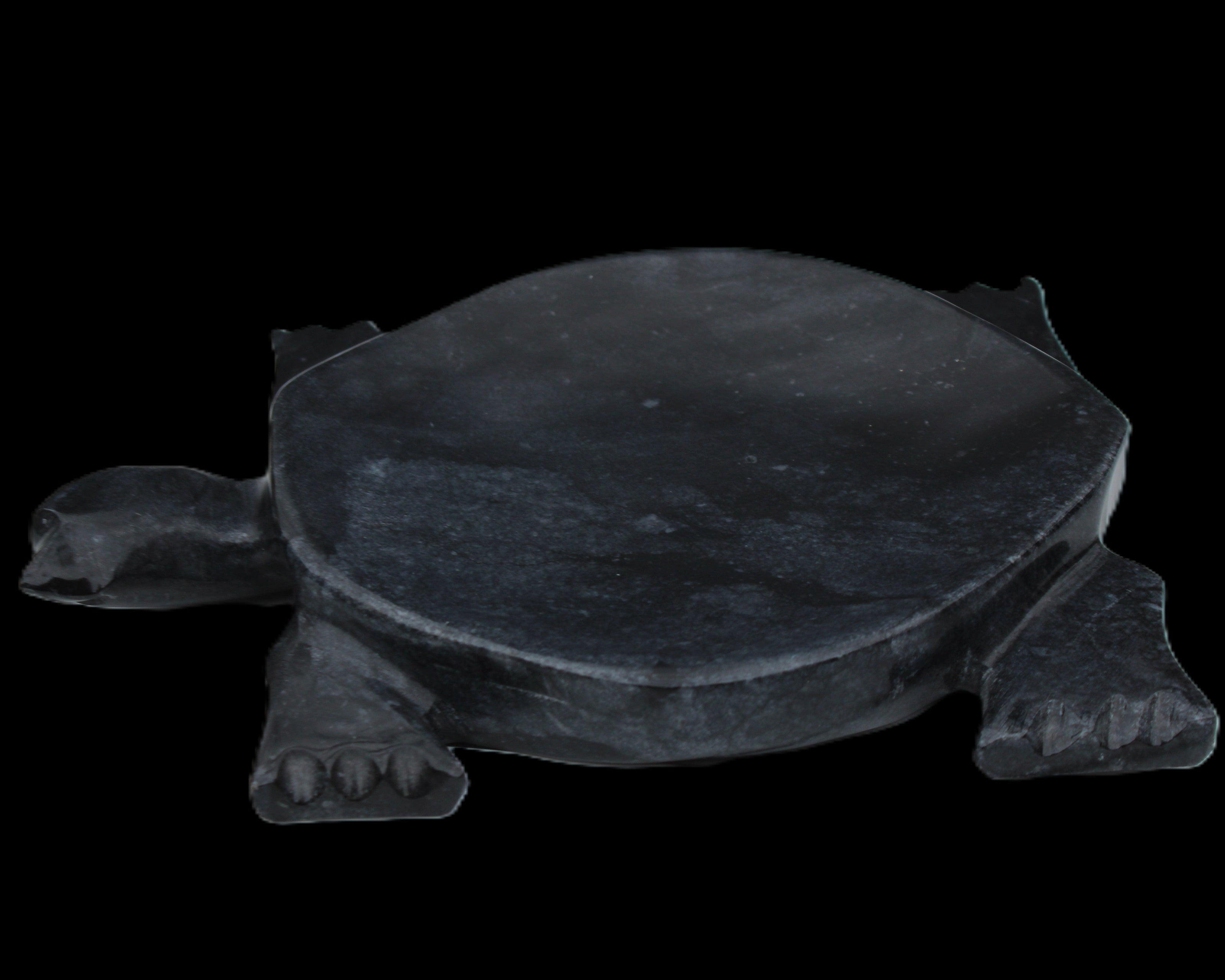 Black Jade hand-carved Turtle platter 155**113*20mm 472g in sunlight - Rocks and Things Store