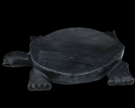 Black Jade hand-carved Turtle platter 155**113*20mm 472g in sunlight - Rocks and Things Store
