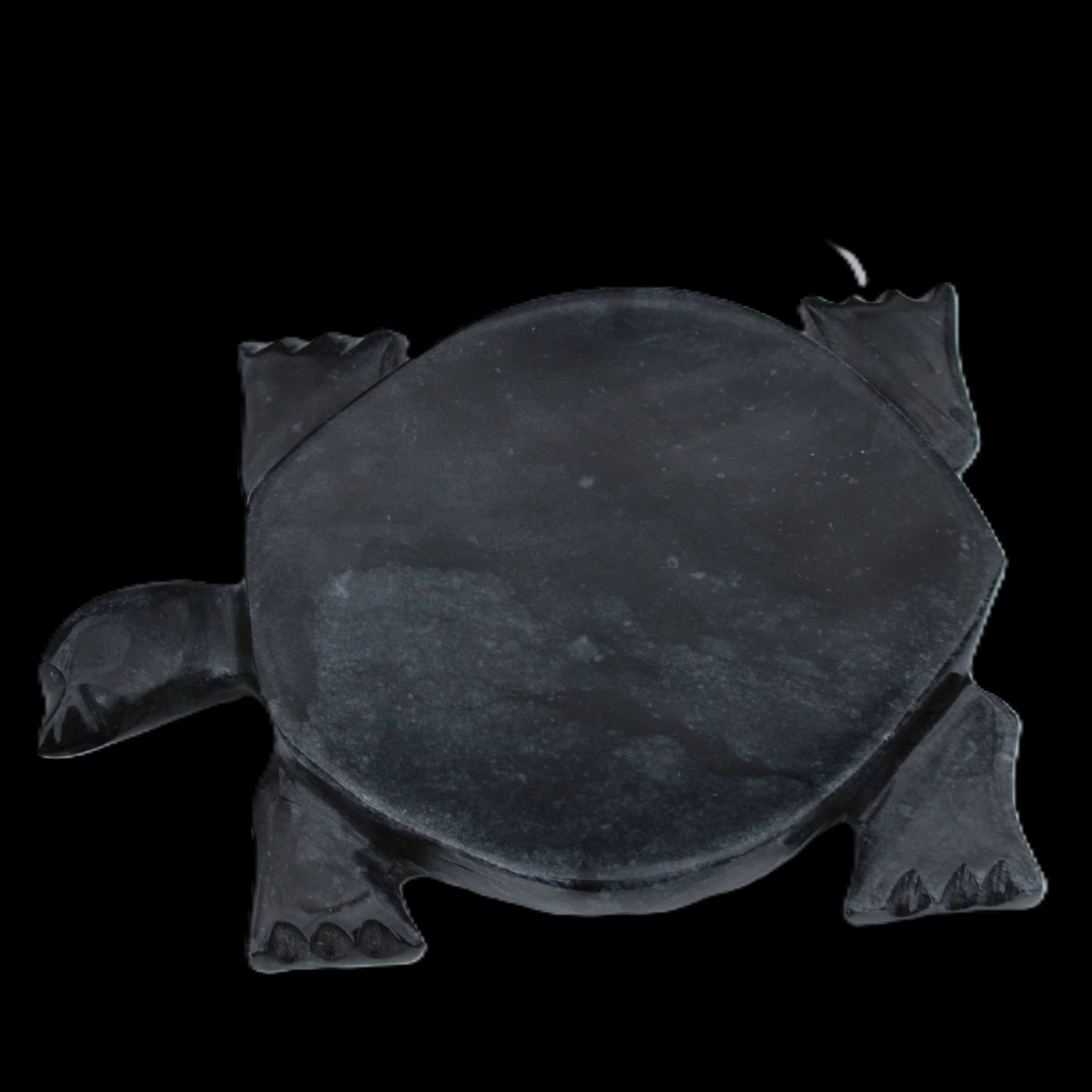Black Jade hand-carved Turtle platter 155**113*20mm 472g in sunlight - Rocks and Things Store