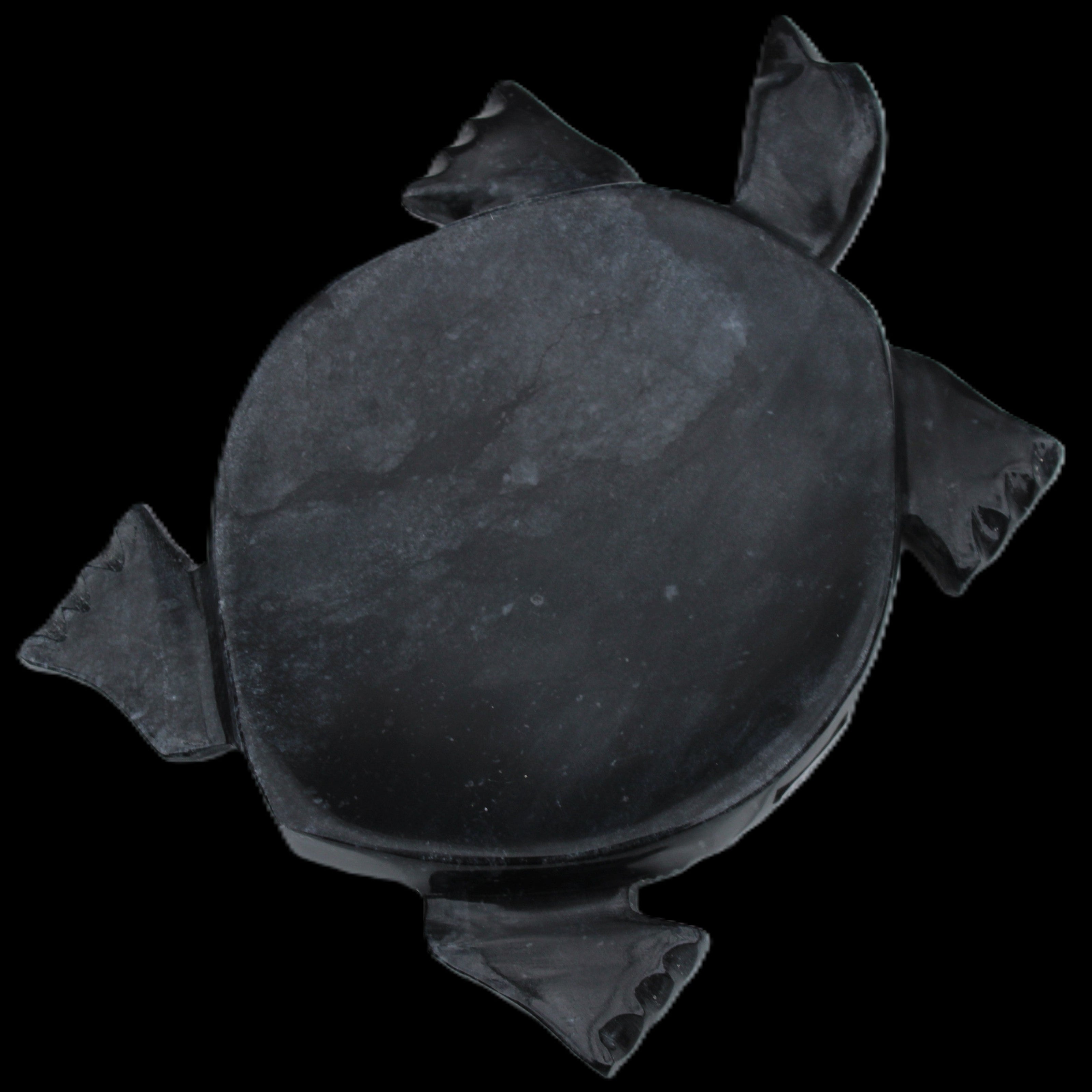 Black Jade hand-carved Turtle platter 155**113*20mm 472g in sunlight - Rocks and Things Store