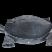 Black Jade hand-carved Turtle platter 157*112*20mm 489g in sunlight - Rocks and Things Store