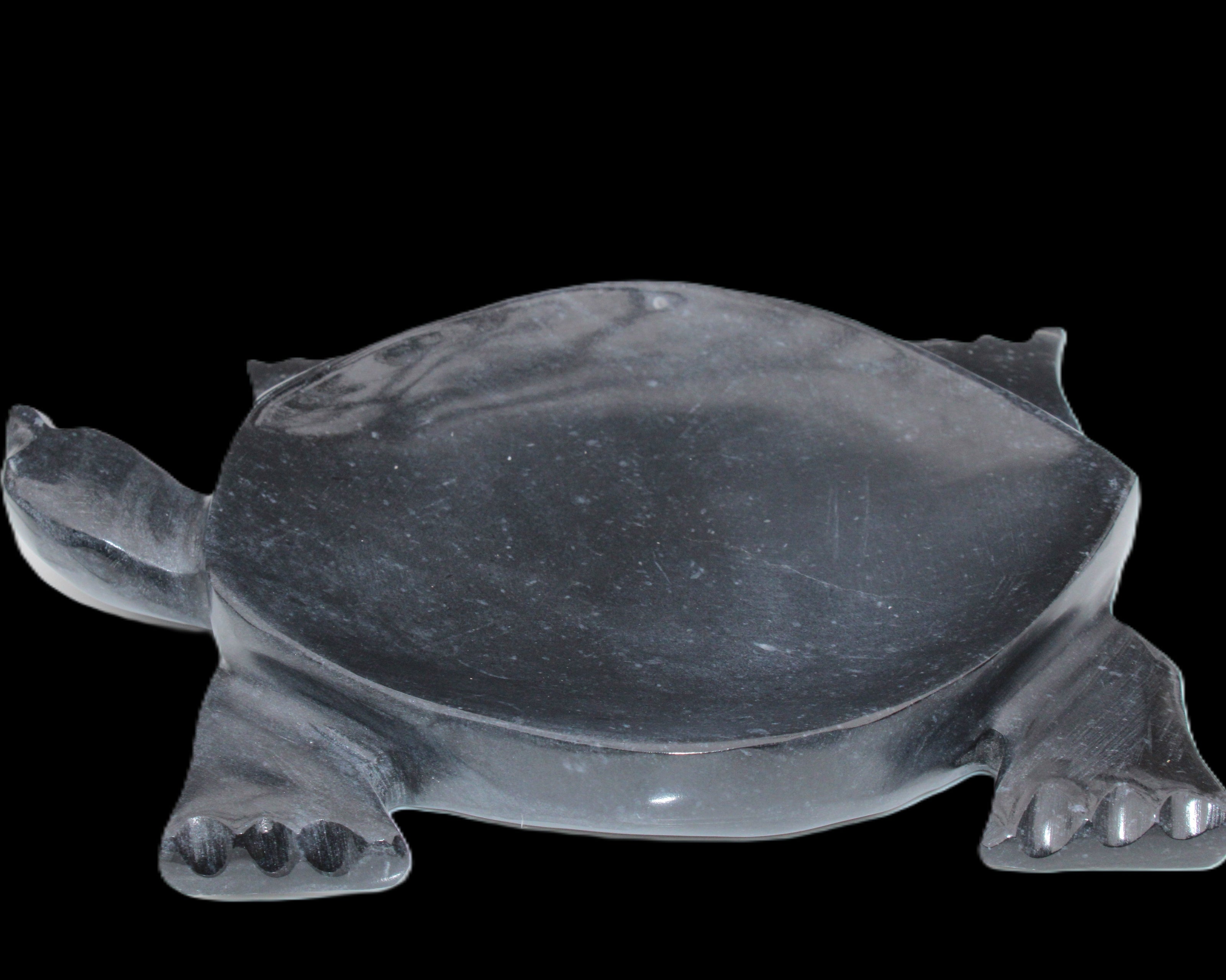 Black Jade hand-carved Turtle platter 157*112*20mm 489g in sunlight - Rocks and Things Store