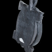 Black Jade hand-carved Turtle platter 157*112*20mm 489g in sunlight - Rocks and Things Store