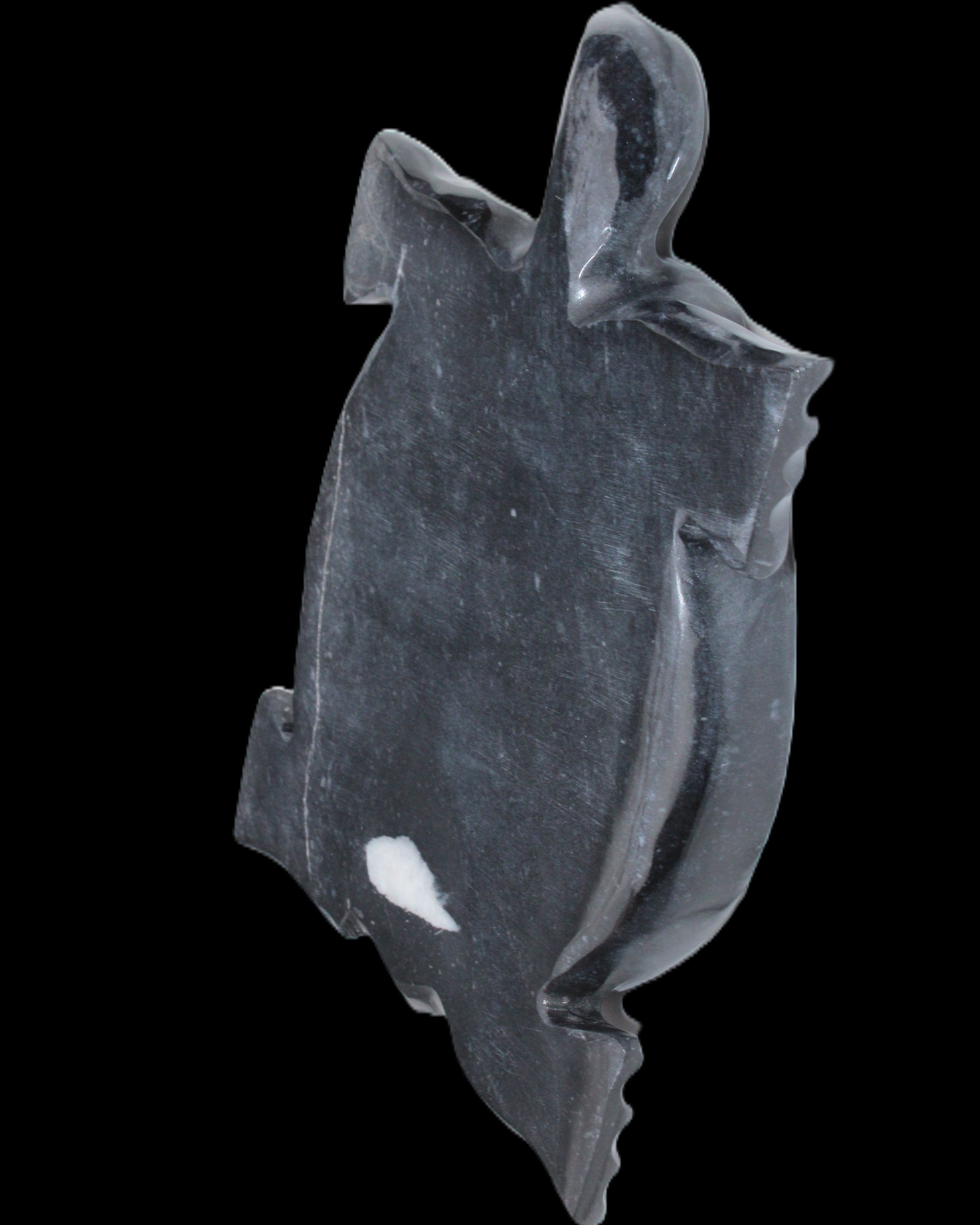 Black Jade hand-carved Turtle platter 157*112*20mm 489g in sunlight - Rocks and Things Store
