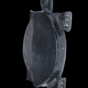 Black Jade hand-carved Turtle platter 157*112*20mm 489g in sunlight - Rocks and Things Store