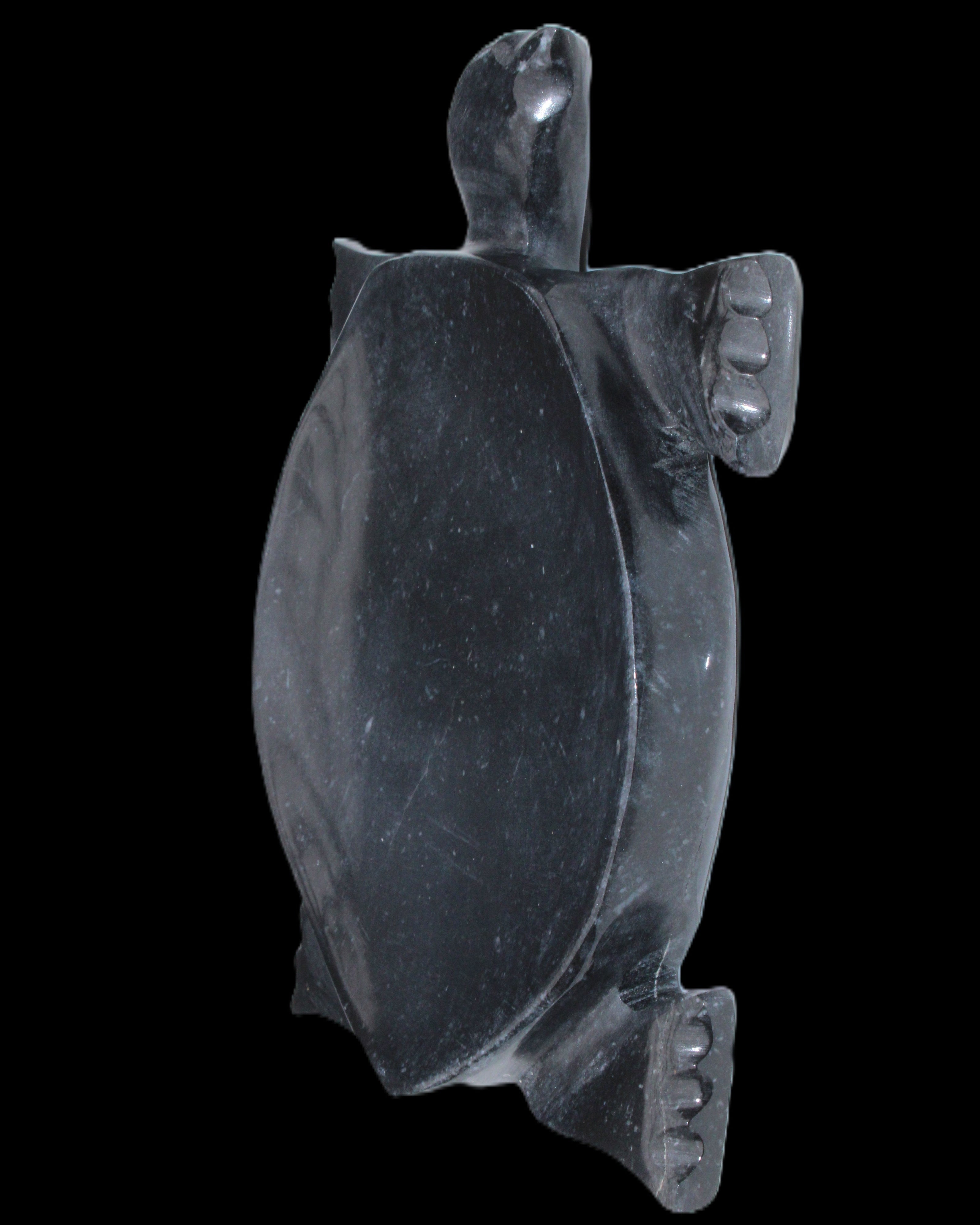 Black Jade hand-carved Turtle platter 157*112*20mm 489g in sunlight - Rocks and Things Store