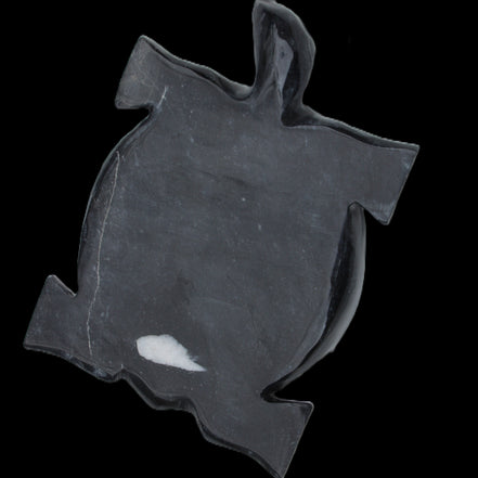 Black Jade hand-carved Turtle platter 157*112*20mm 489g in sunlight - Rocks and Things Store