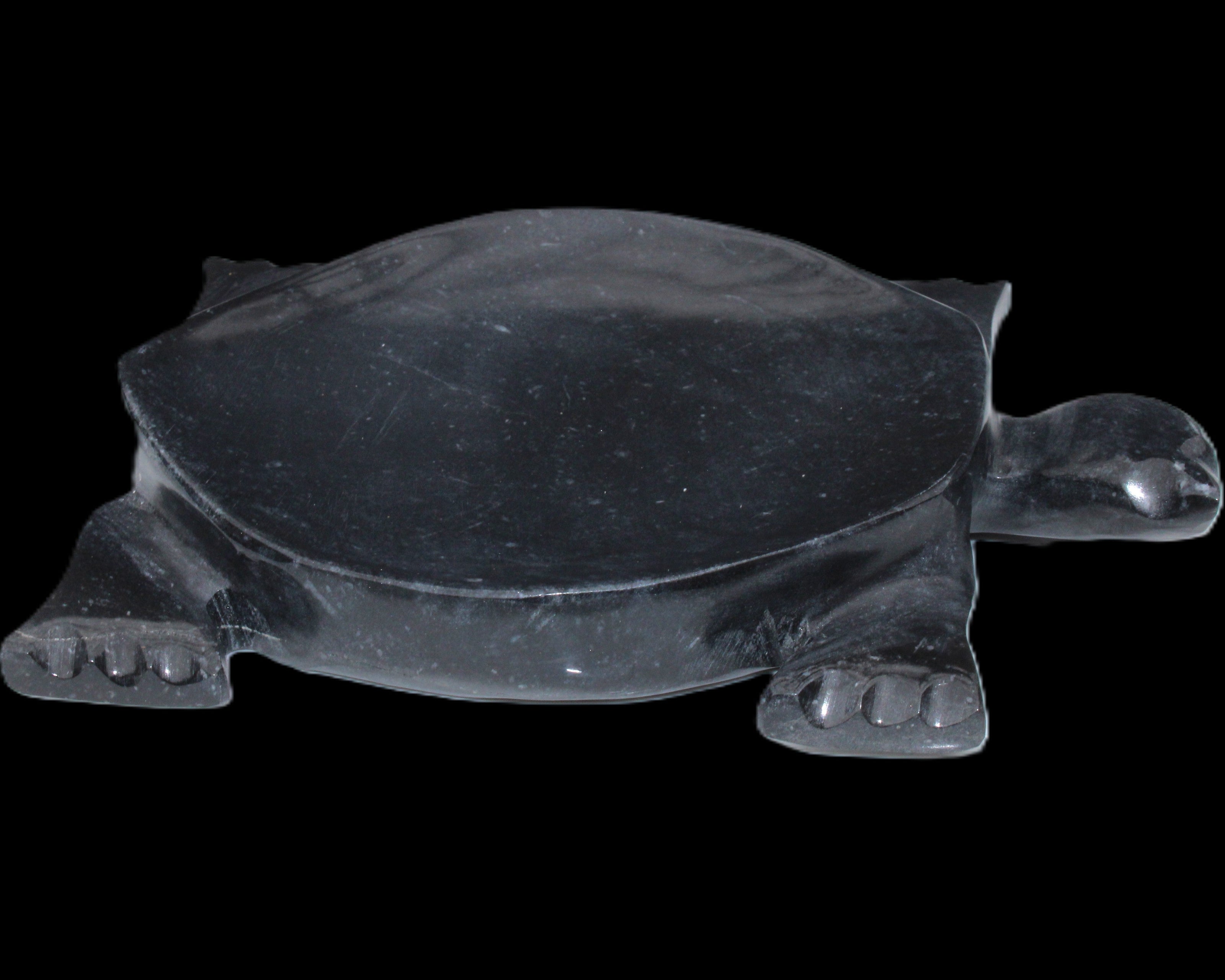 Black Jade hand-carved Turtle platter 157*112*20mm 489g in sunlight - Rocks and Things Store