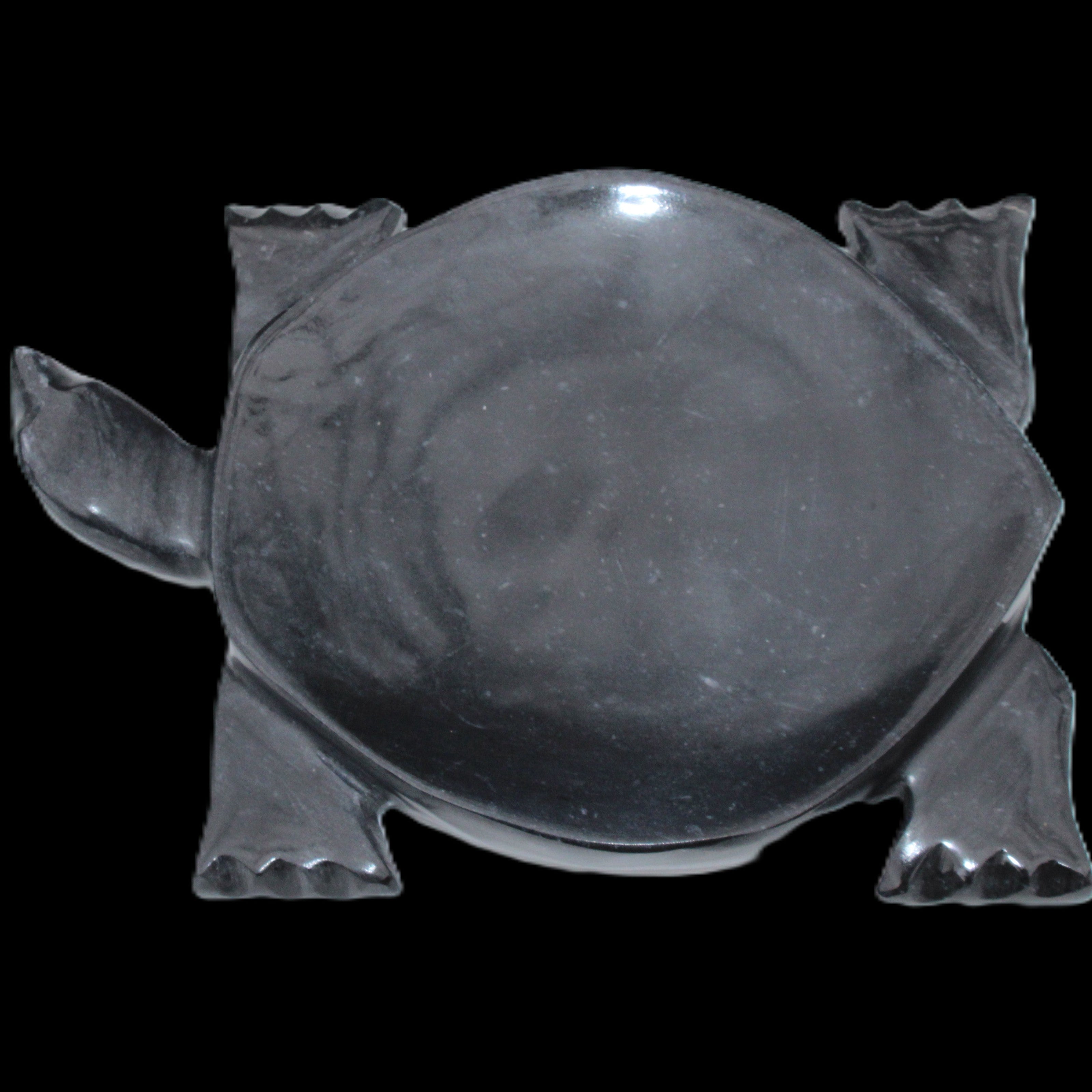 Black Jade hand-carved Turtle platter 157*112*20mm 489g in sunlight - Rocks and Things Store