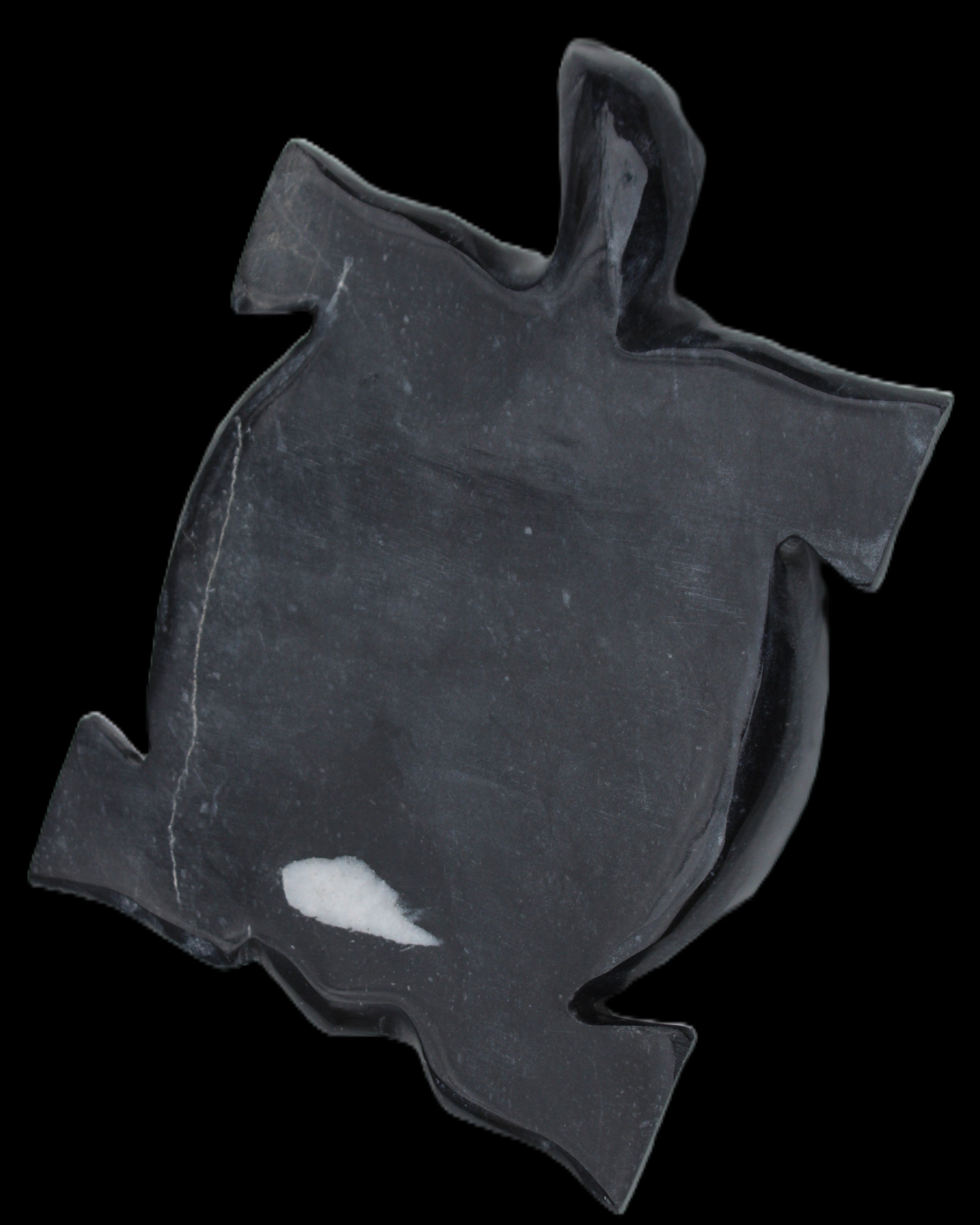 Black Jade hand-carved Turtle platter 157*112*20mm 489g in sunlight - Rocks and Things Store