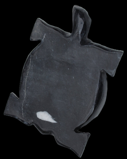 Black Jade hand-carved Turtle platter 157*112*20mm 489g in sunlight - Rocks and Things Store