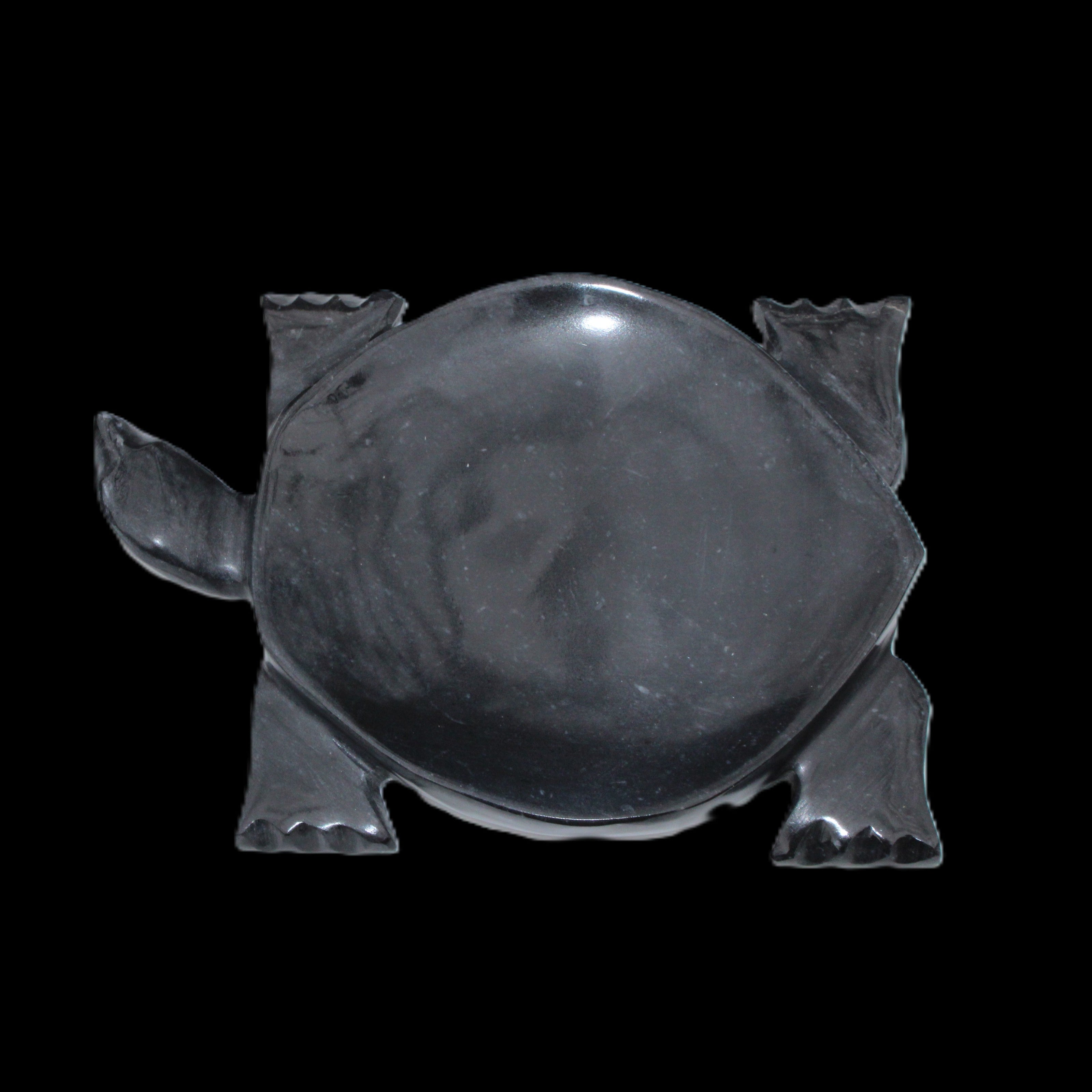 Black Jade hand-carved Turtle platter 157*112*20mm 489g in sunlight - Rocks and Things Store