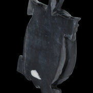 Black Jade hand-carved Turtle platter 157*112*20mm 489g in sunlight - Rocks and Things Store