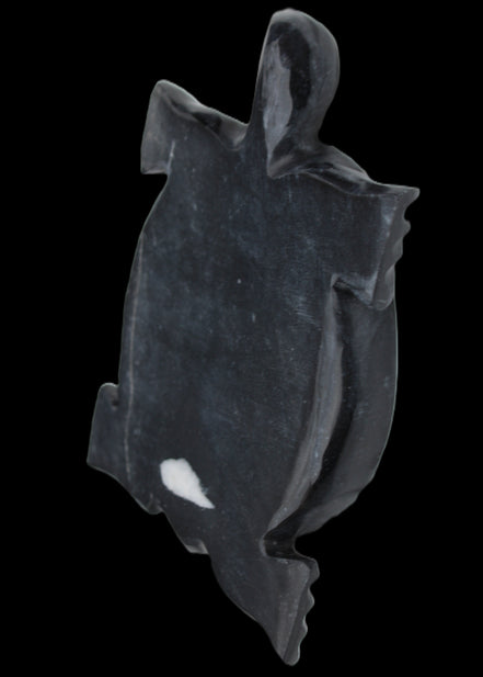 Black Jade hand-carved Turtle platter 157*112*20mm 489g in sunlight - Rocks and Things Store