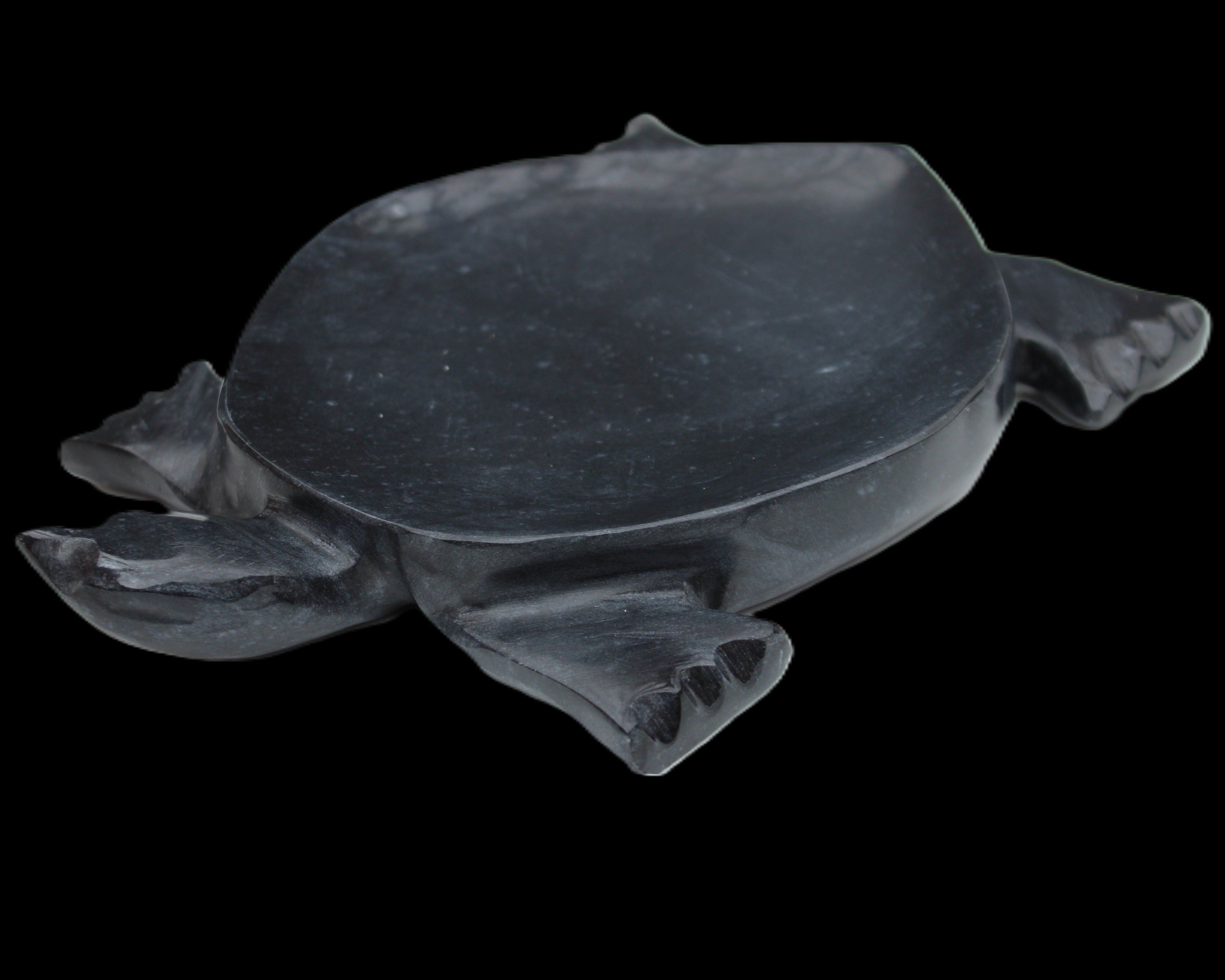 Black Jade hand-carved Turtle platter 157*112*20mm 489g in sunlight - Rocks and Things Store