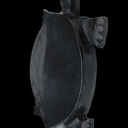 Black Jade hand-carved Turtle platter 157*112*20mm 489g in sunlight - Rocks and Things Store