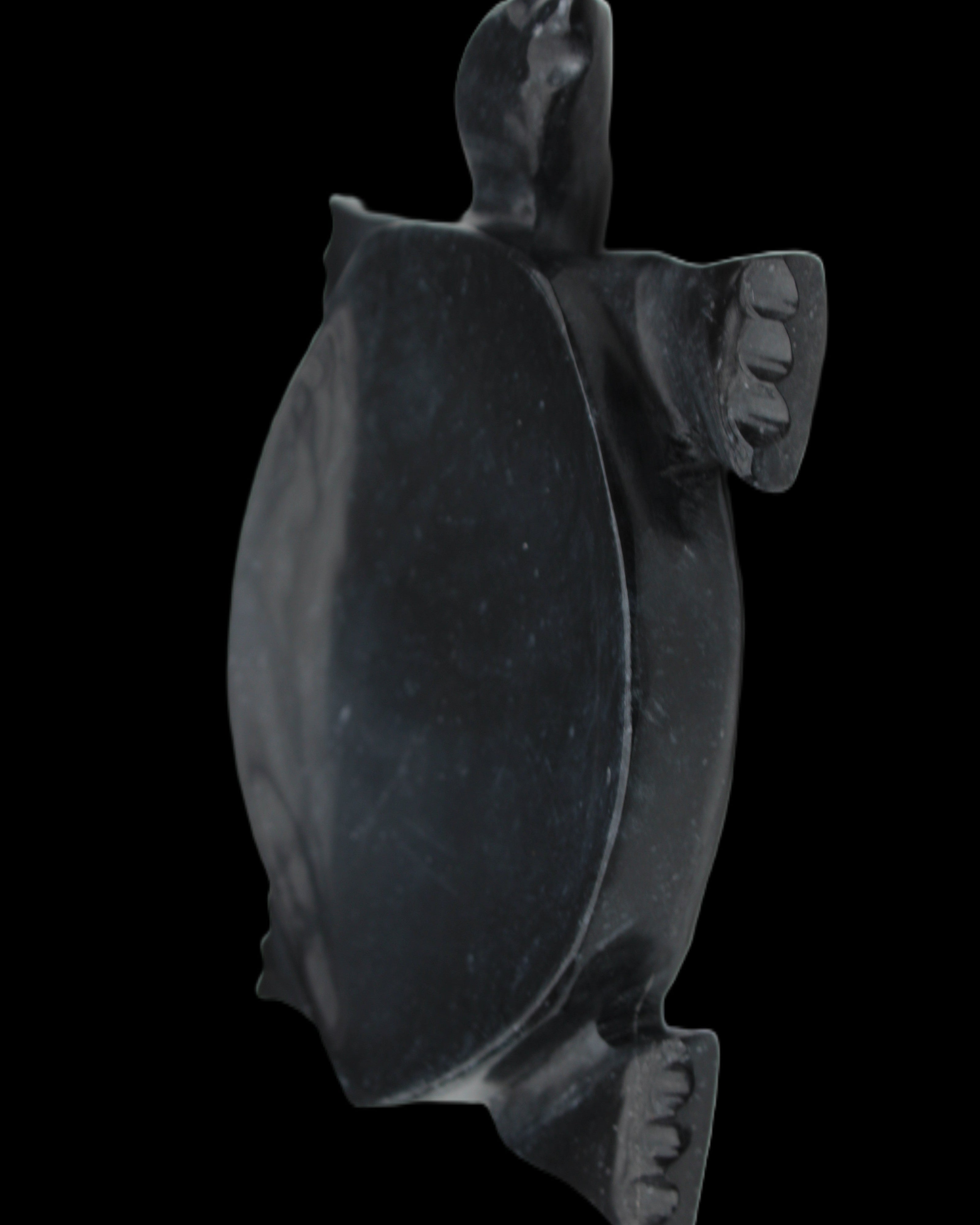Black Jade hand-carved Turtle platter 157*112*20mm 489g in sunlight - Rocks and Things Store