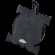 Black Jade hand-carved Turtle platter 157*112*20mm 489g in sunlight - Rocks and Things Store