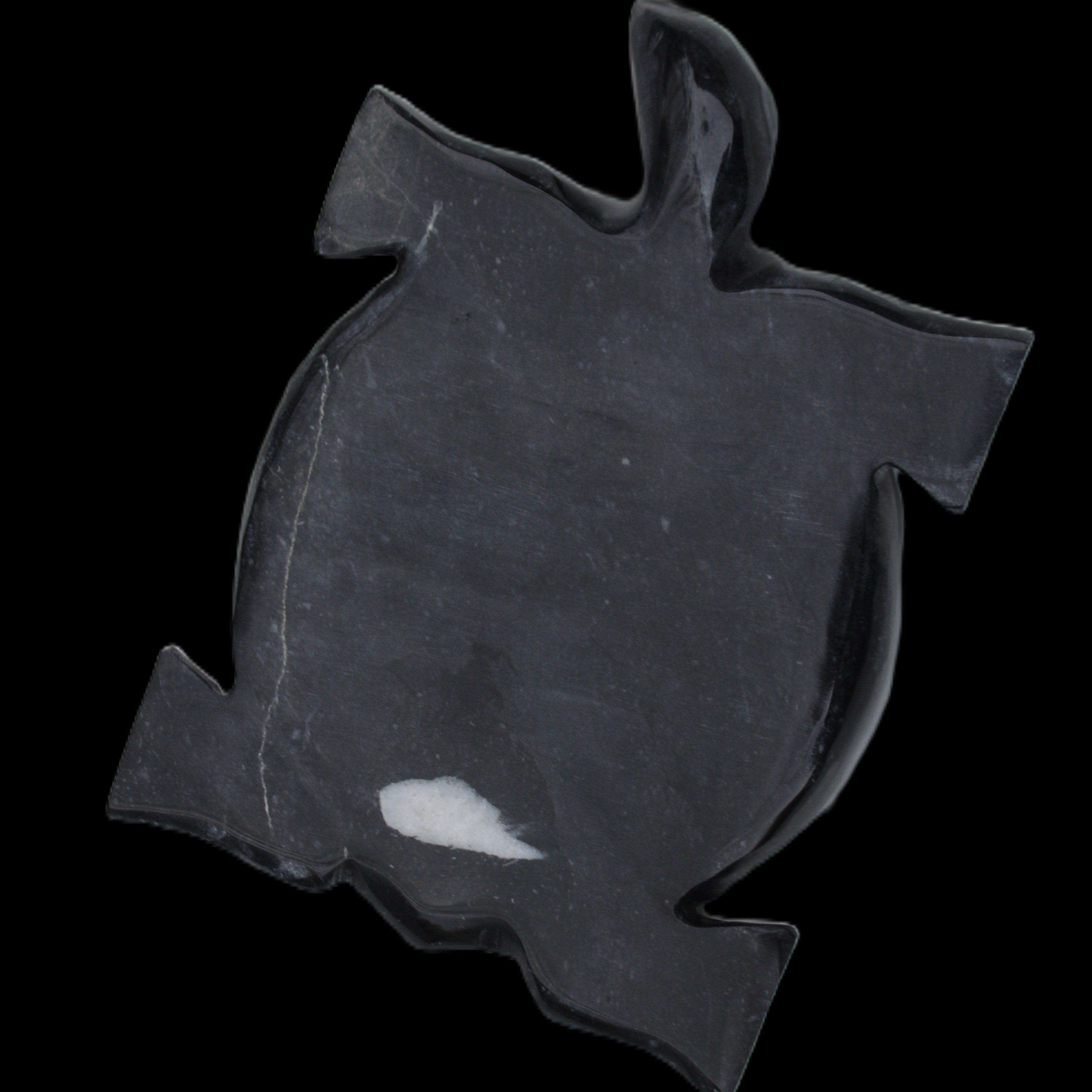 Black Jade hand-carved Turtle platter 157*112*20mm 489g in sunlight - Rocks and Things Store