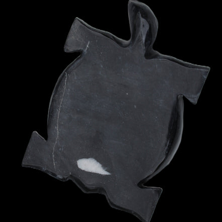 Black Jade hand-carved Turtle platter 157*112*20mm 489g in sunlight - Rocks and Things Store