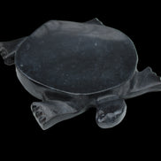 Black Jade hand-carved Turtle platter 157*112*20mm 489g in sunlight - Rocks and Things Store