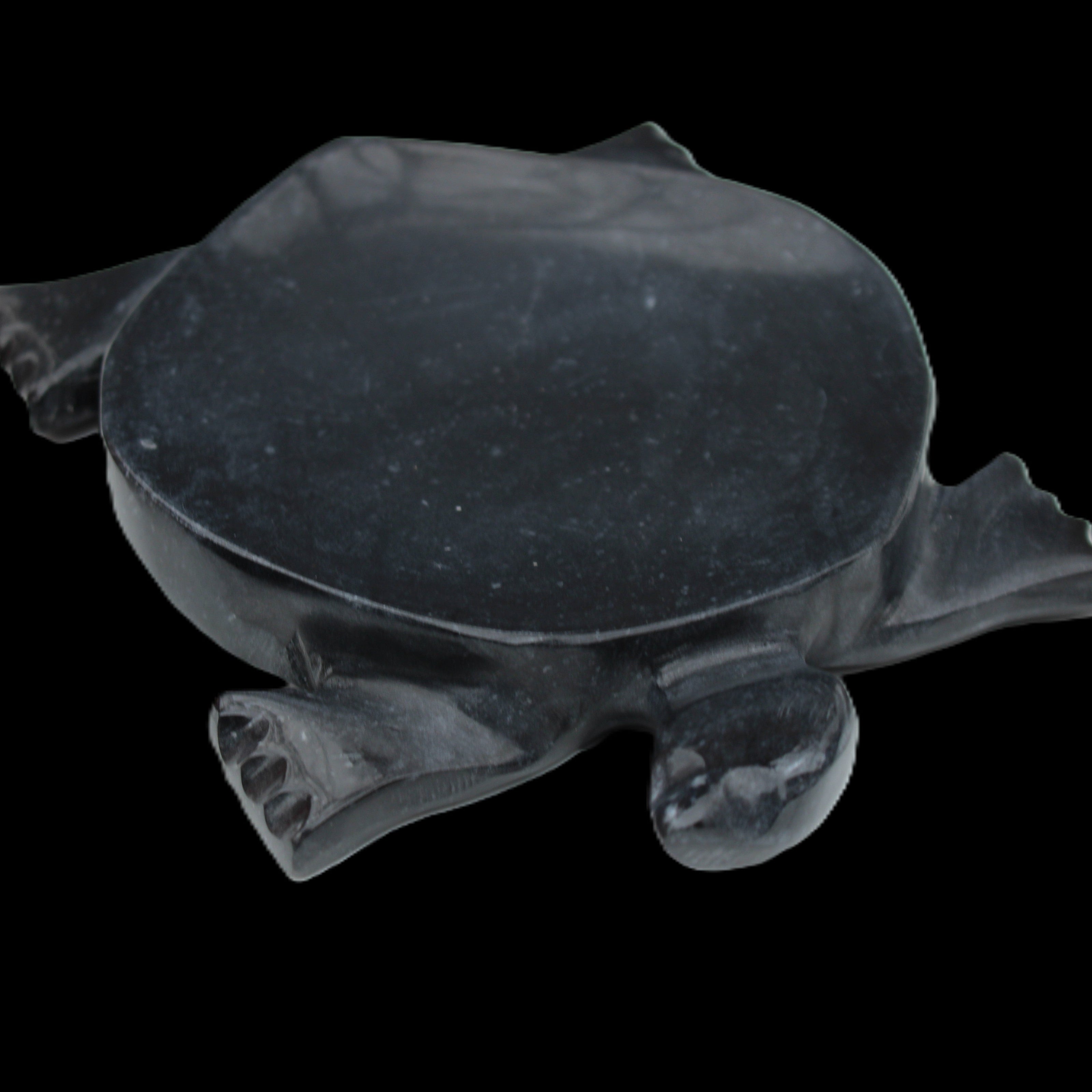Black Jade hand-carved Turtle platter 157*112*20mm 489g in sunlight - Rocks and Things Store