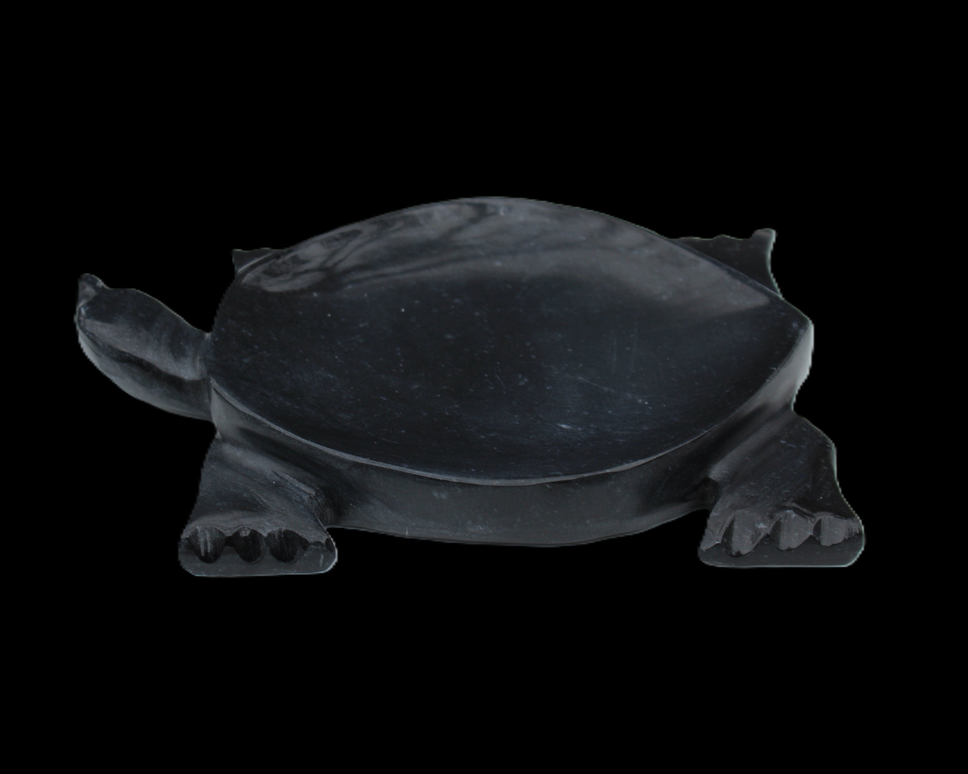 Black Jade hand-carved Turtle platter 157*112*20mm 489g in sunlight - Rocks and Things Store