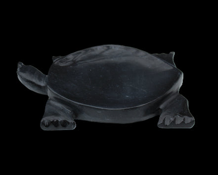 Black Jade hand-carved Turtle platter 157*112*20mm 489g in sunlight - Rocks and Things Store