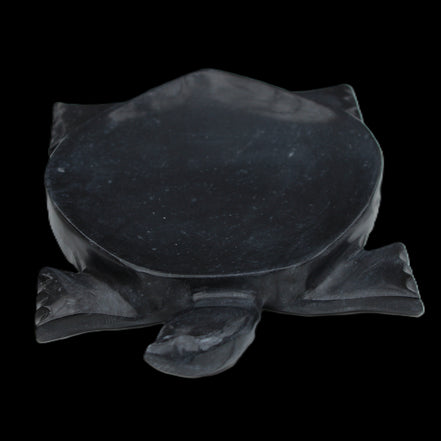 Black Jade hand-carved Turtle platter 157*112*20mm 489g in sunlight - Rocks and Things Store