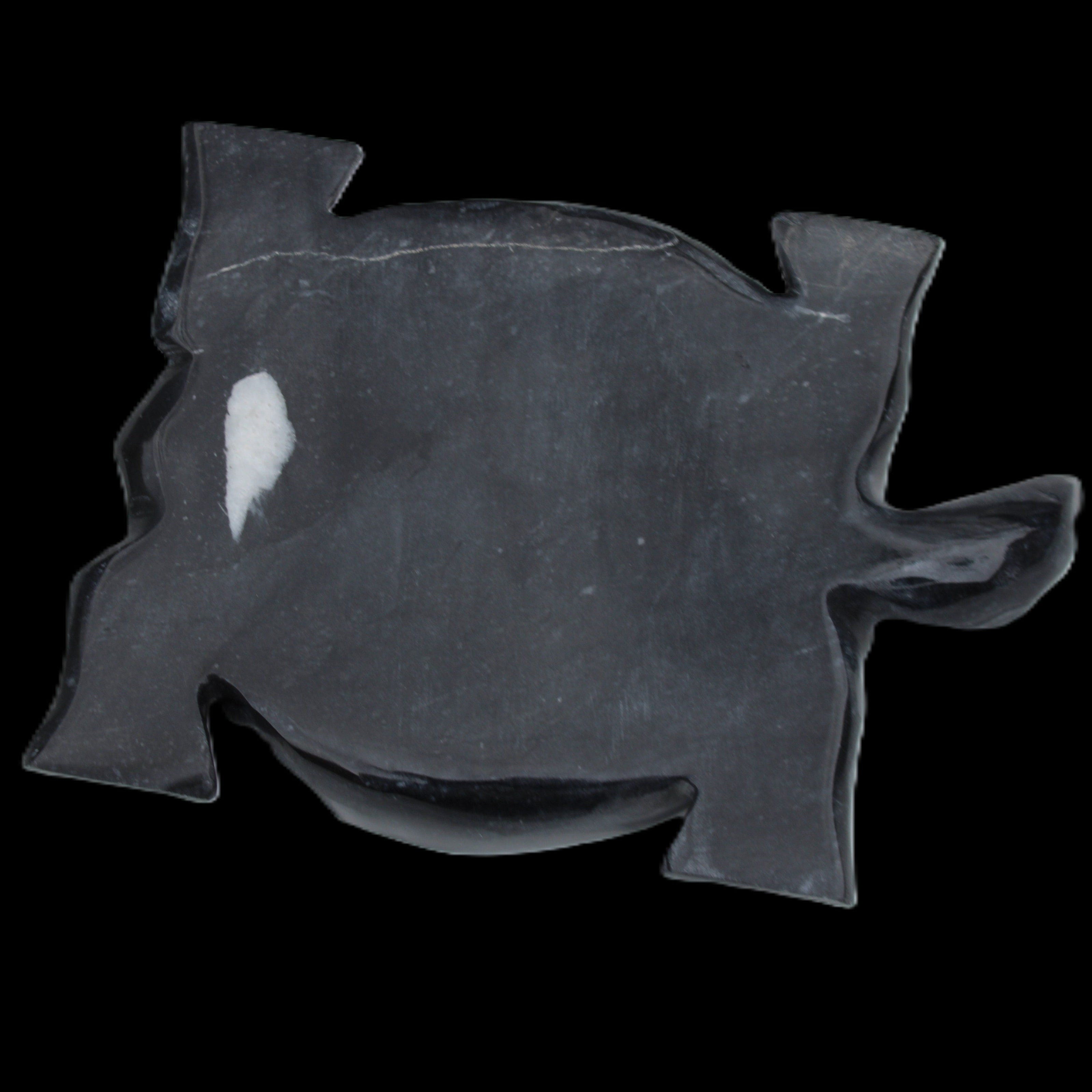 Black Jade hand-carved Turtle platter 157*112*20mm 489g in sunlight - Rocks and Things Store