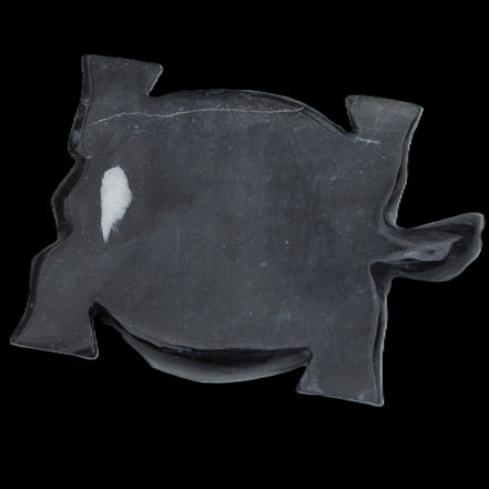 Black Jade hand-carved Turtle platter 157*112*20mm 489g in sunlight - Rocks and Things Store
