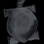 Black Jade hand-carved Turtle platter 157*112*20mm 489g in sunlight - Rocks and Things Store