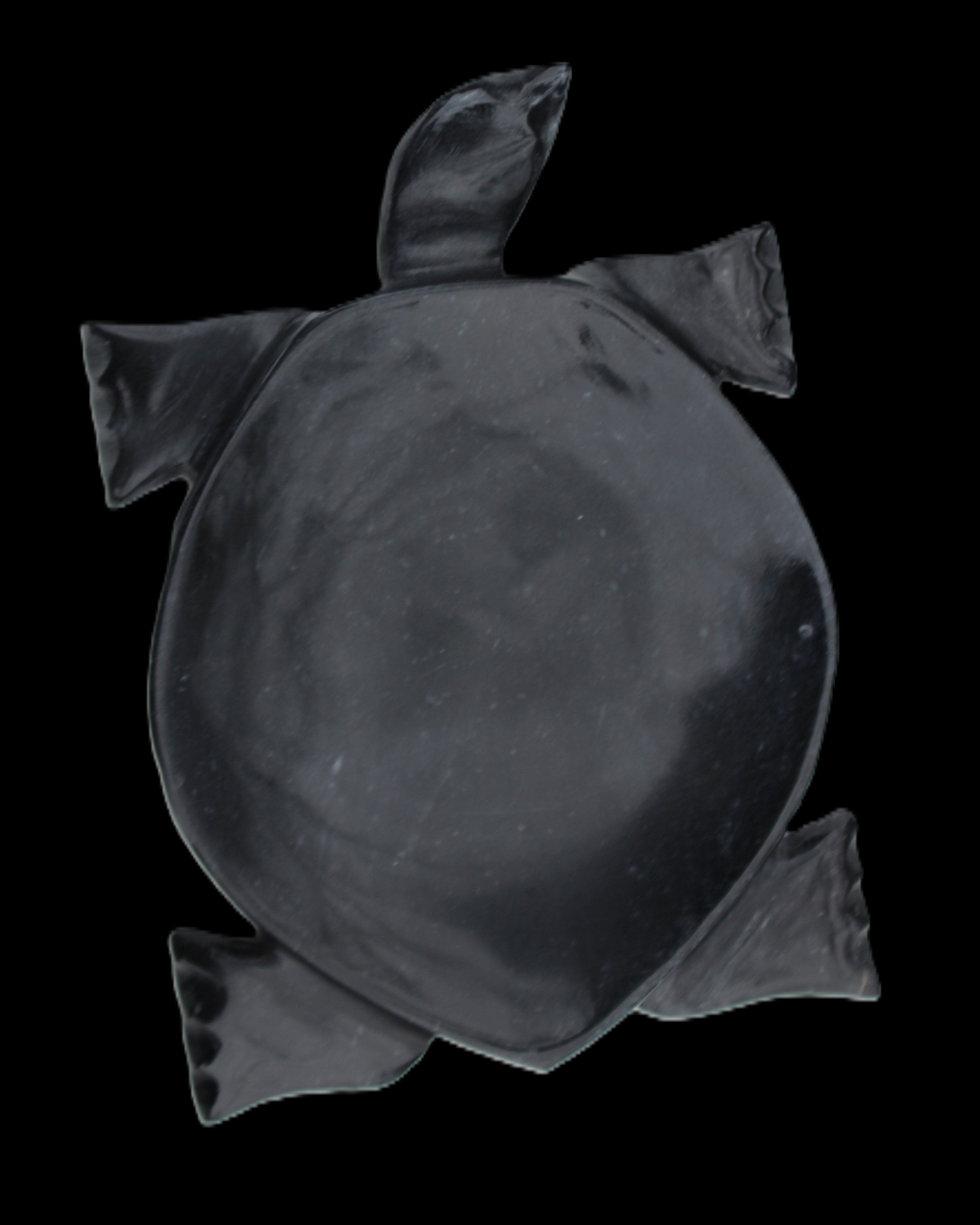 Black Jade hand-carved Turtle platter 157*112*20mm 489g in sunlight - Rocks and Things Store