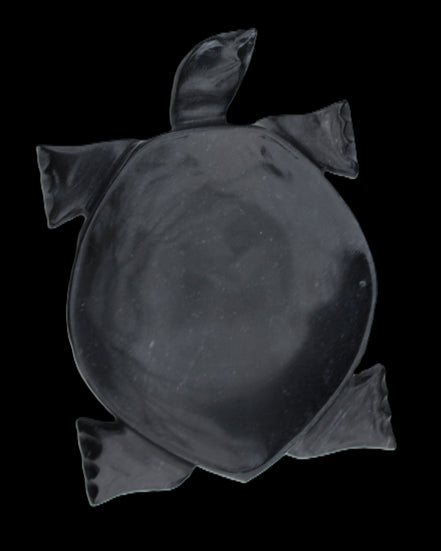 Black Jade hand-carved Turtle platter 157*112*20mm 489g in sunlight - Rocks and Things Store