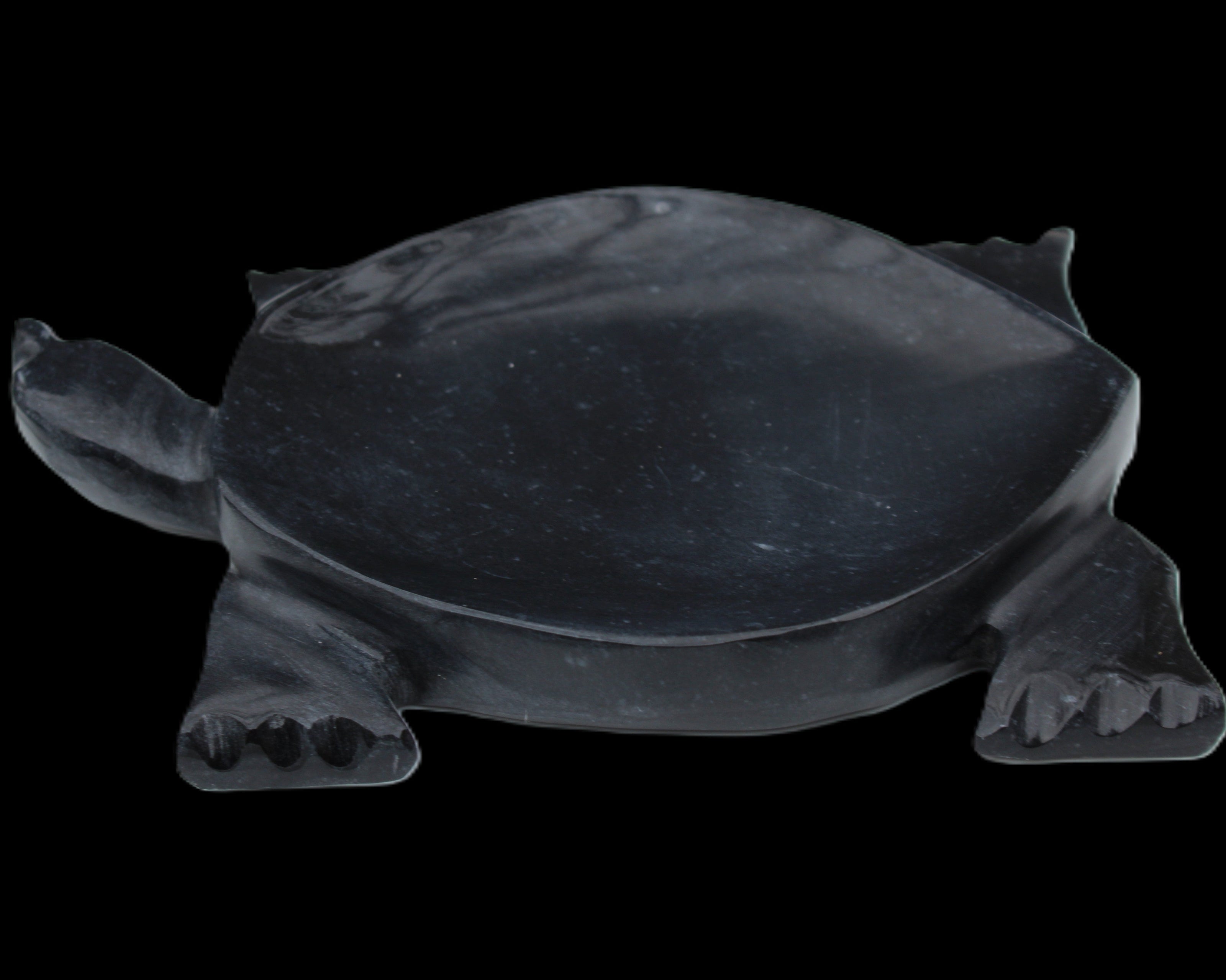 Black Jade hand-carved Turtle platter 157*112*20mm 489g in sunlight - Rocks and Things Store