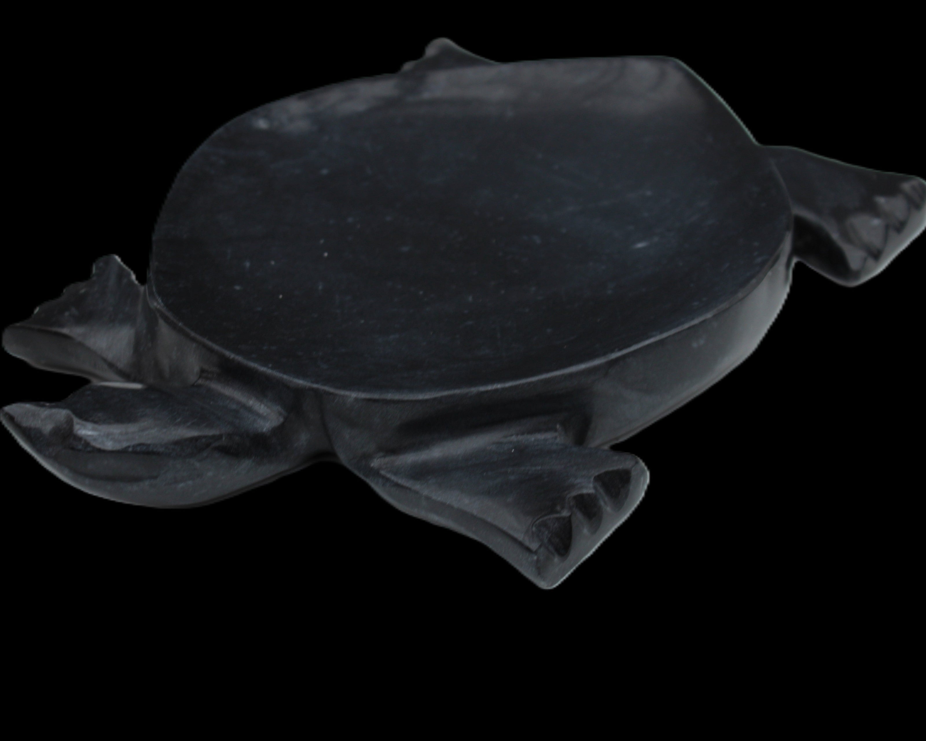 Black Jade hand-carved Turtle platter 157*112*20mm 489g in sunlight - Rocks and Things Store