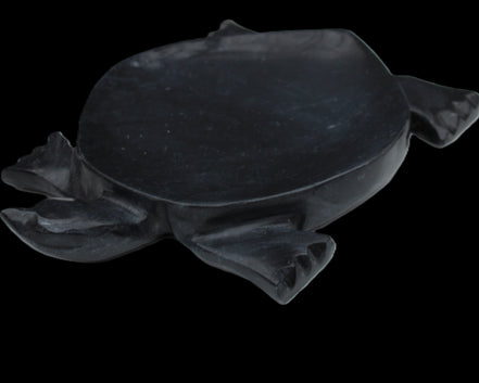 Black Jade hand-carved Turtle platter 157*112*20mm 489g in sunlight - Rocks and Things Store